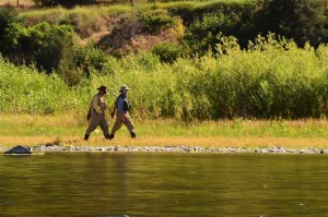 Missouri River Montana Fishing Report