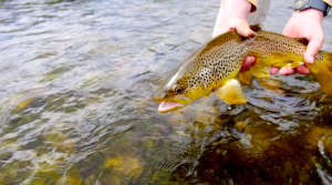 El Sol fly fishing video