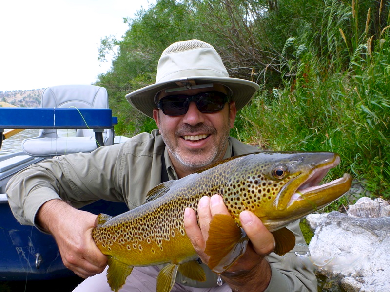 Montana dry fly trout