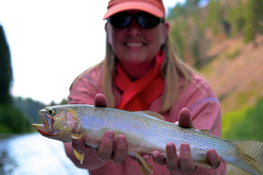 Blackfoot River Cutthroat Trout