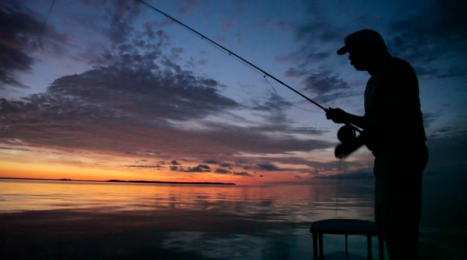 Key West HArbor Tarpon