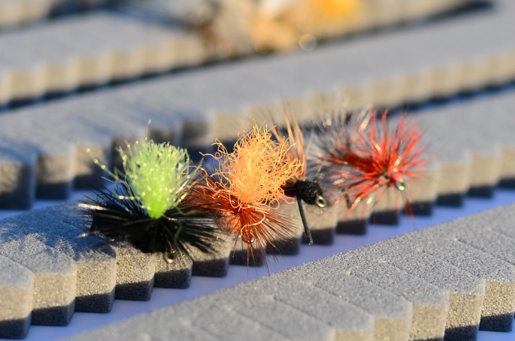 Missouri River September Flies