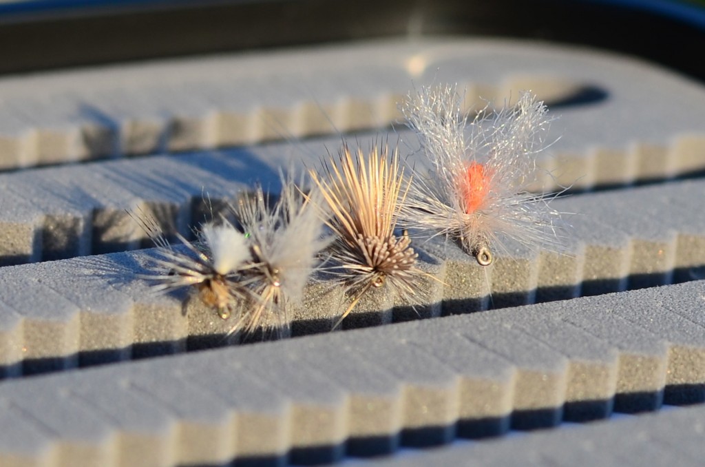 Missouri River September Flies