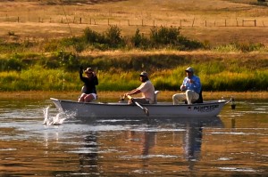 Missouri River Fishing Report