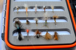 Missouri River August Flies