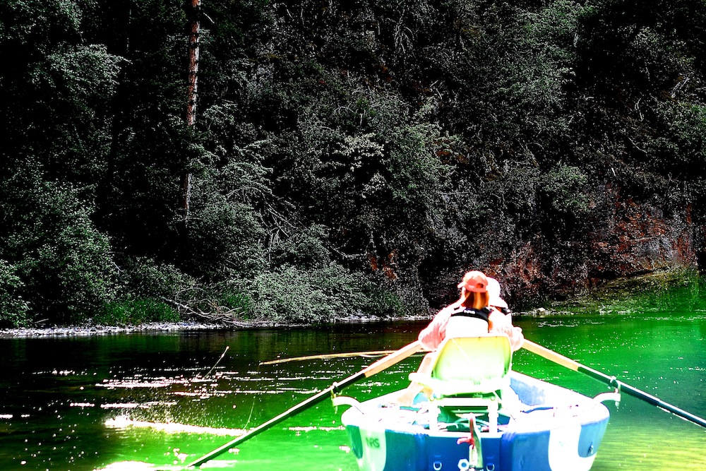 Blackfoot River Guided Fly Fishing