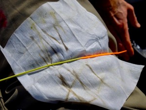 Rio Fly Line Cleaning Towelette