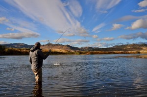 Missouri River Fishing Report