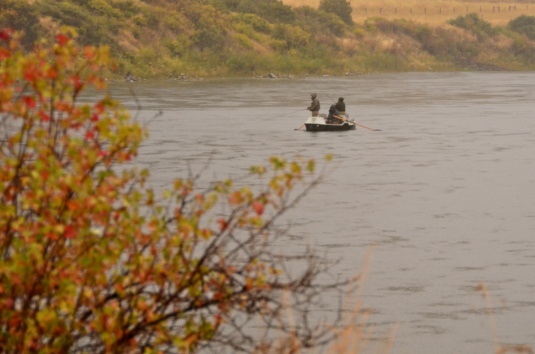 Missouri River Fishing Report