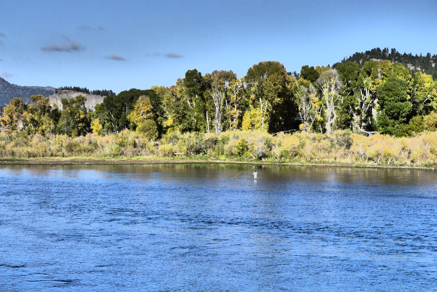 Missouri River Fishing Report