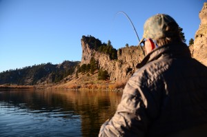 Missouri RIver Turkey Week