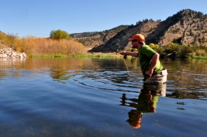 Dry Fly Anlgers