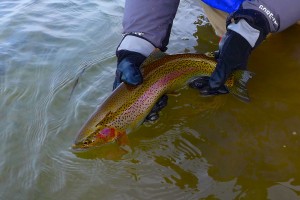 Cold Water Nymphing