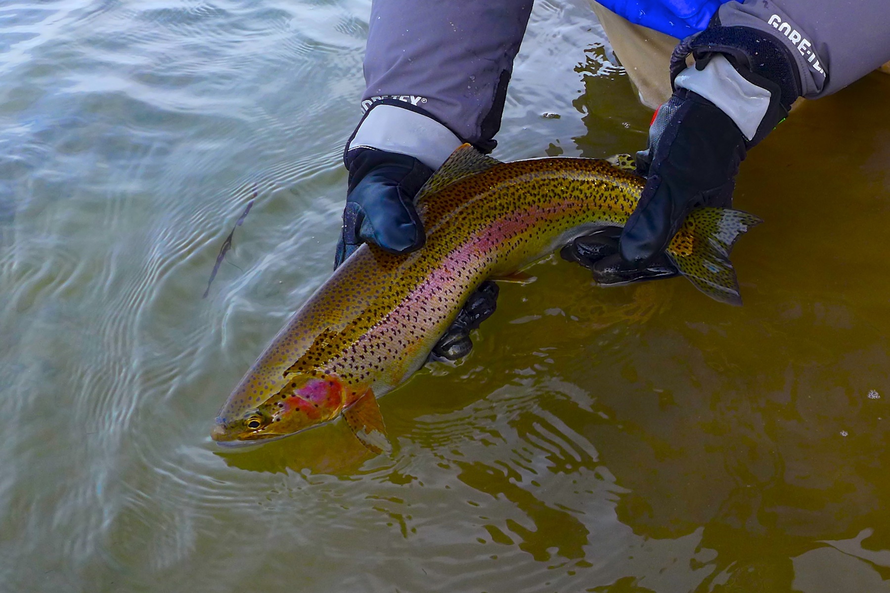 Cold Water Nymphing