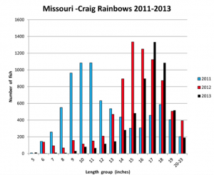 Missouri River Trout Numbers High