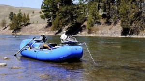 Montana pre-runoff fly fishing