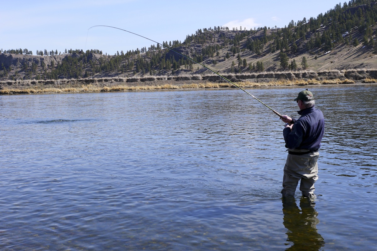 Spey fishing Montana Missouri River