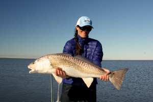 Teal Basile Redfish