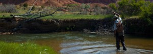 Utah fly fishing