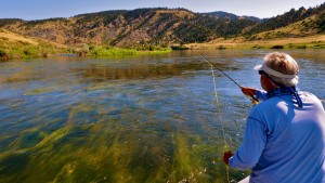 Fly Fishing Montana