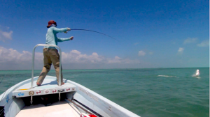 Fly Fishing Belize