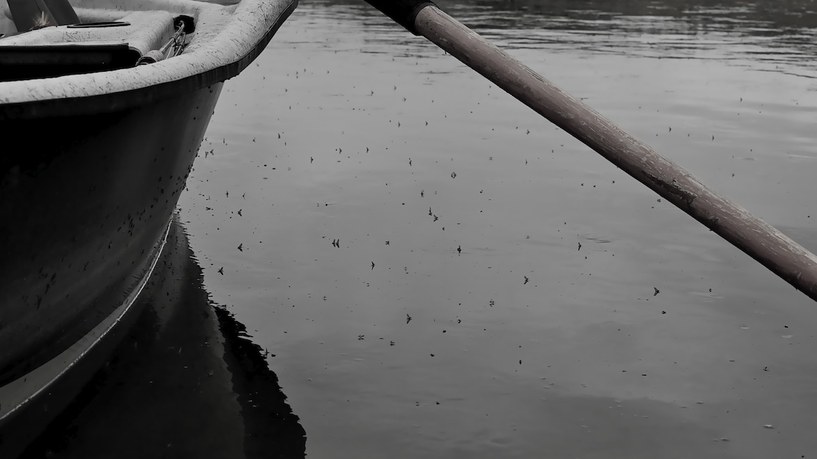 Soon. Missouri River Baetis