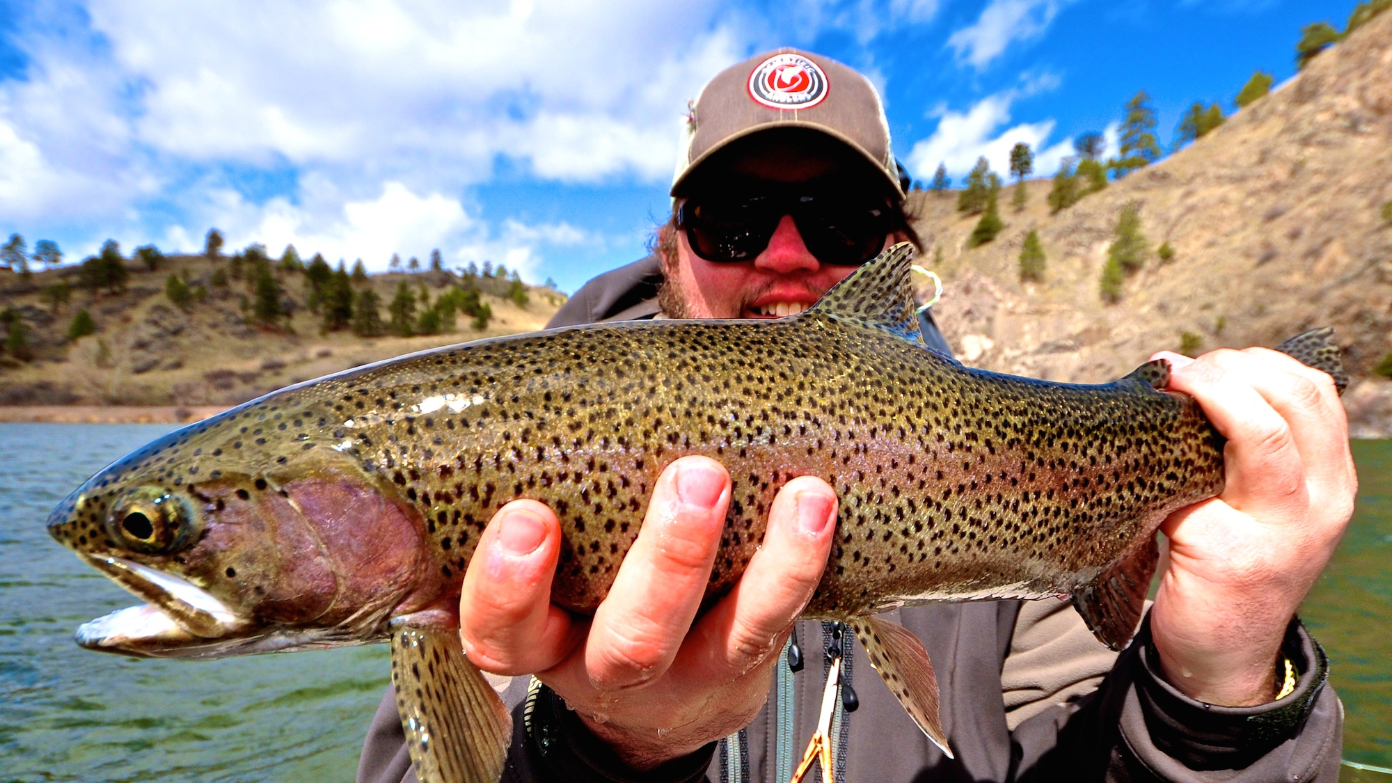 Missouri River Montana Fishing Report