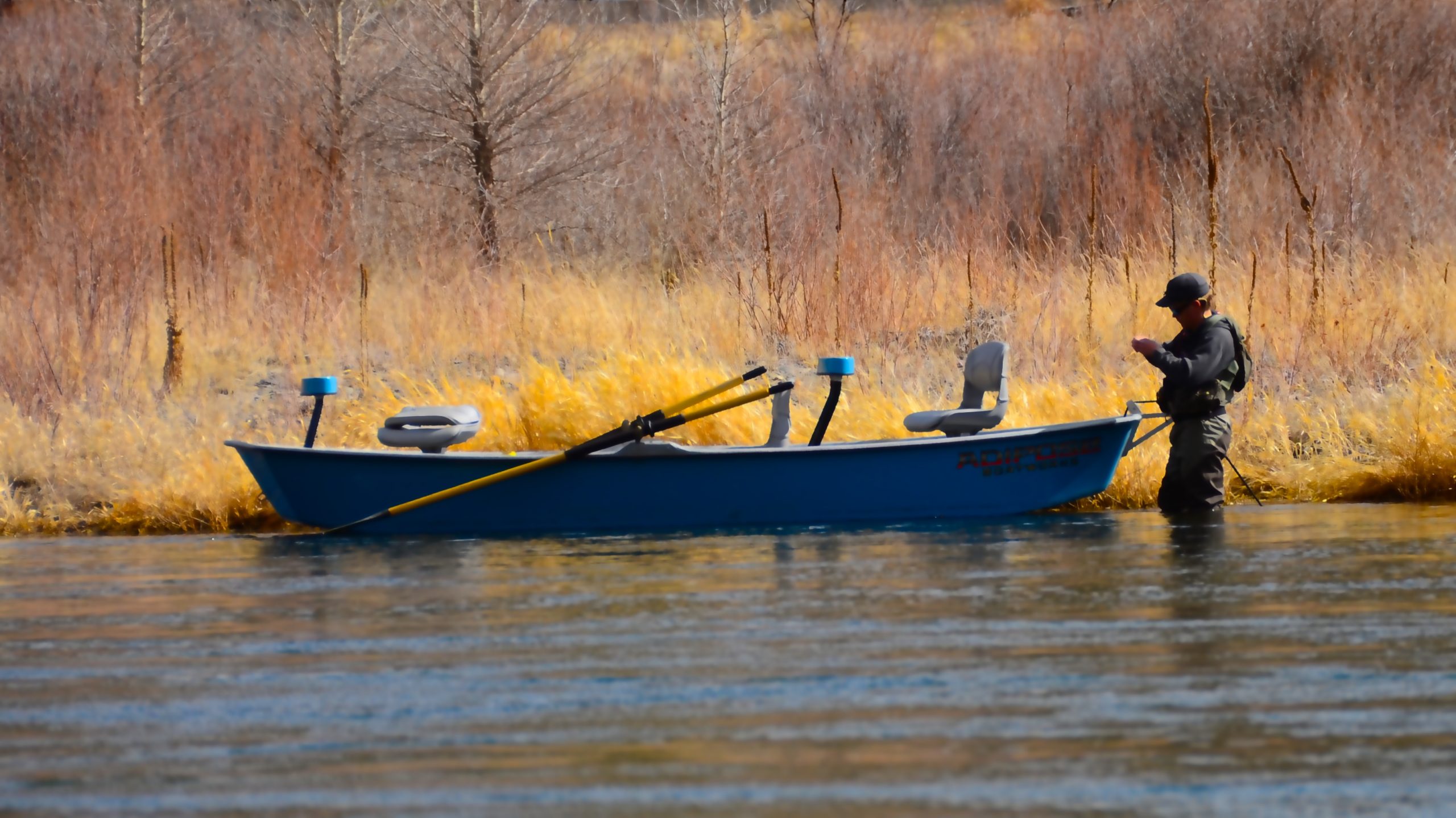 Missouri River Montana Fishing Report