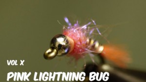 Pink Lightening Bug