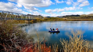 Missouri River Montana Fishing Report