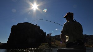 Missouri River Montana Fishing Report