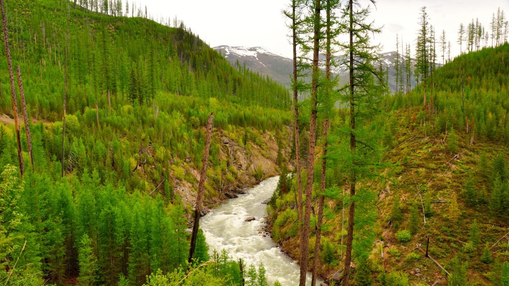 Not yet on the Blackfoot River