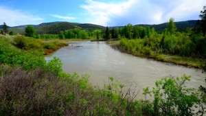 Not yet on the Blackfoot River