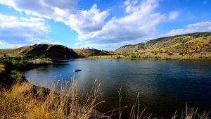 Missouri River Montana Fishing Report