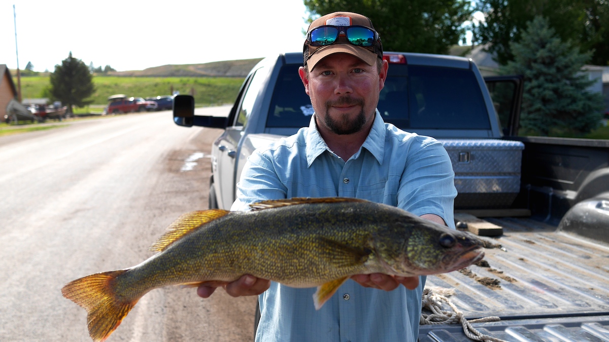 Missouri River Walleye fly fishing