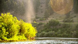 Missouri River Trico's