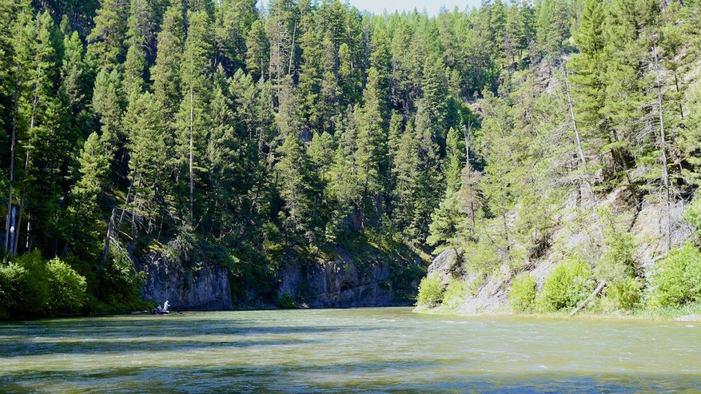 Blackfoot River fly fishing