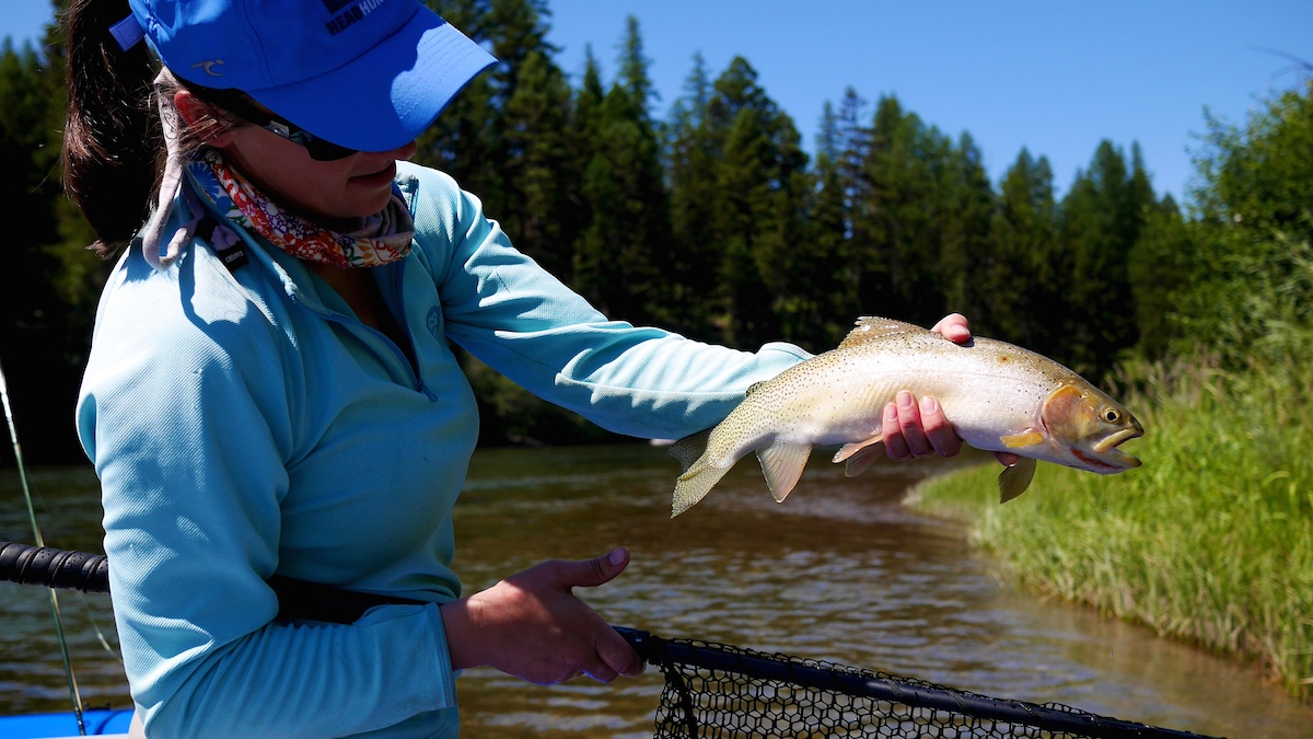 Blackfoot River Cutthroat