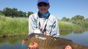 Montana carp fly fishing