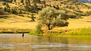 Missouri River Fishing Report 8.7.14