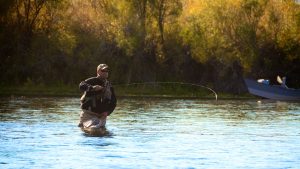 Missouri River Montana Fishing Report