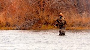 Missouri River Montana Fishing Report 11.29.14