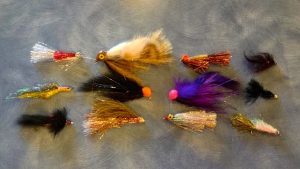 10 Missouri River November Streamers