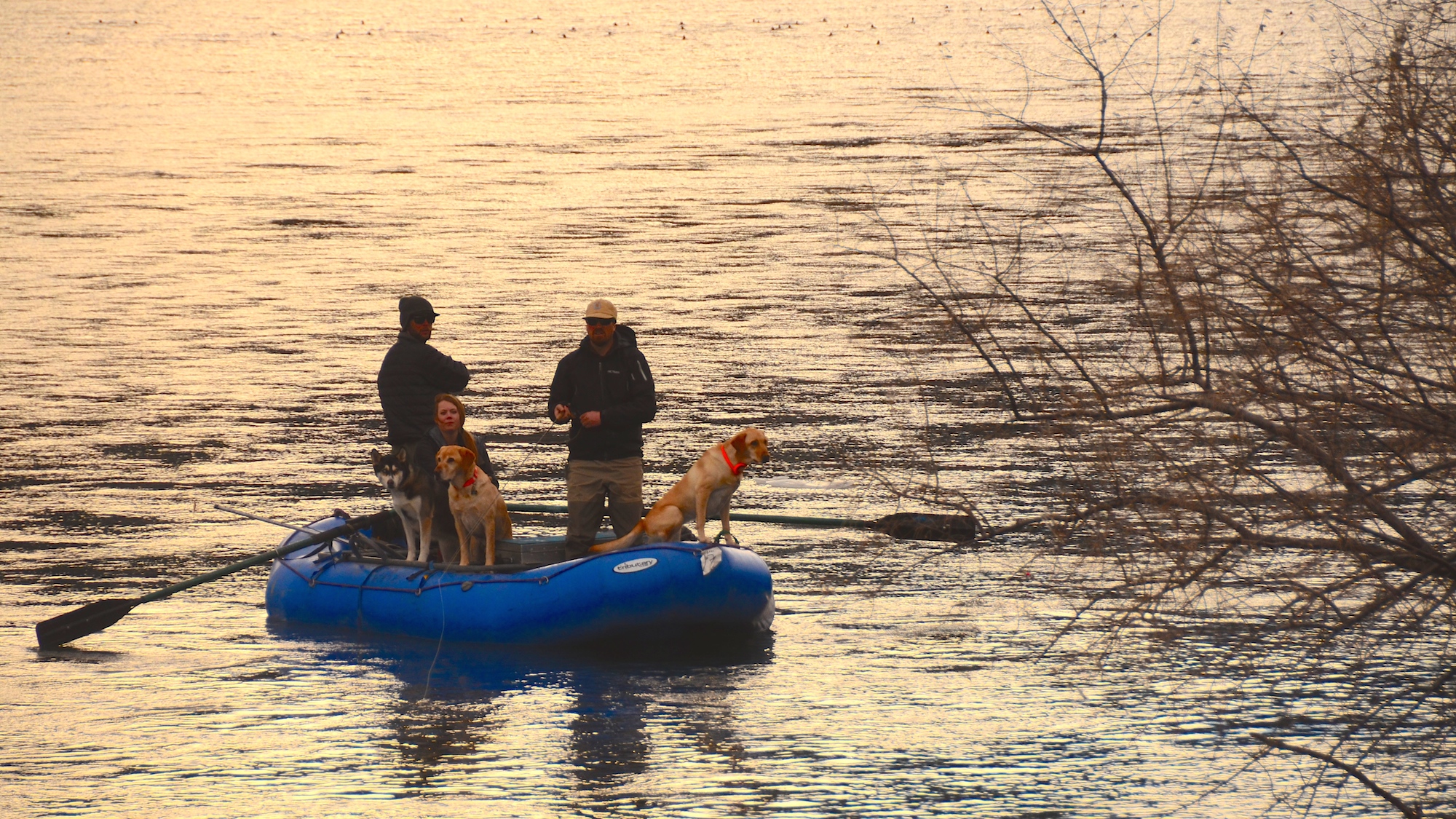 Missouri River Montana Fishing Report 2.4.15