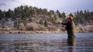 Echo Glass Switch and Spey