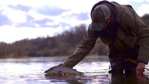 Ben McNinch montana spey