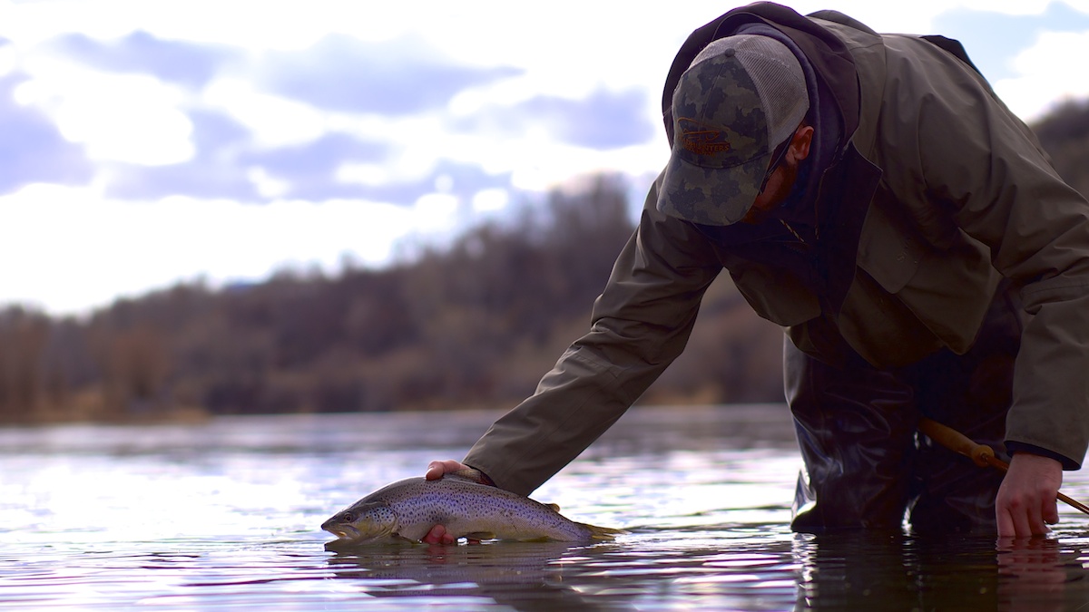 Ben McNinch montana spey