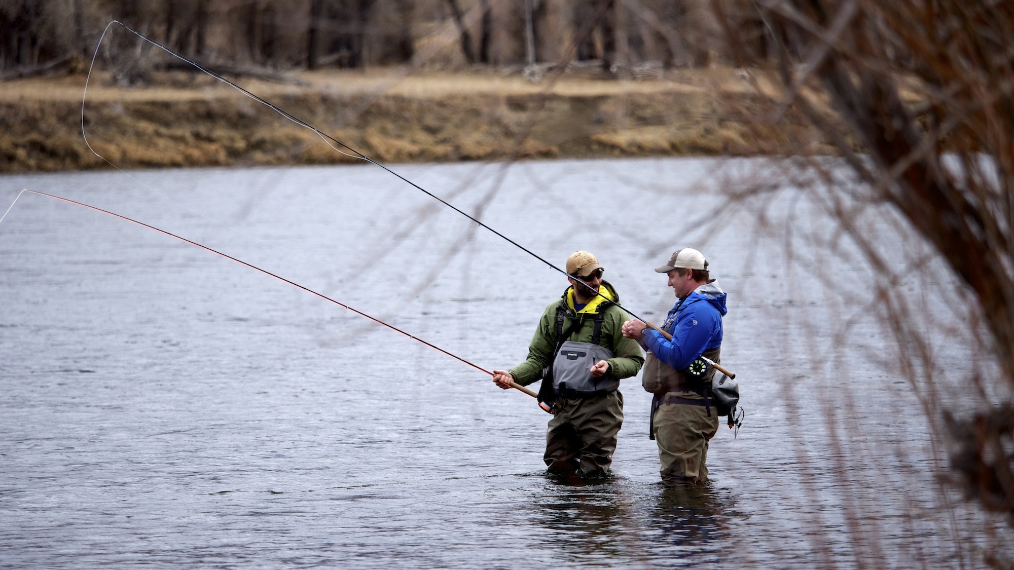 Montana trout spey