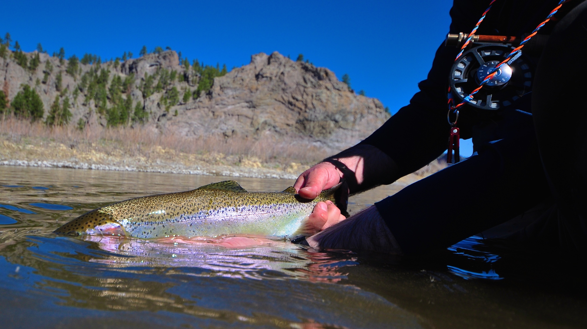 Missouri River Montana Fishing Report 4.24.15