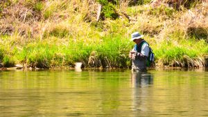 The Voice of a Wade Angler